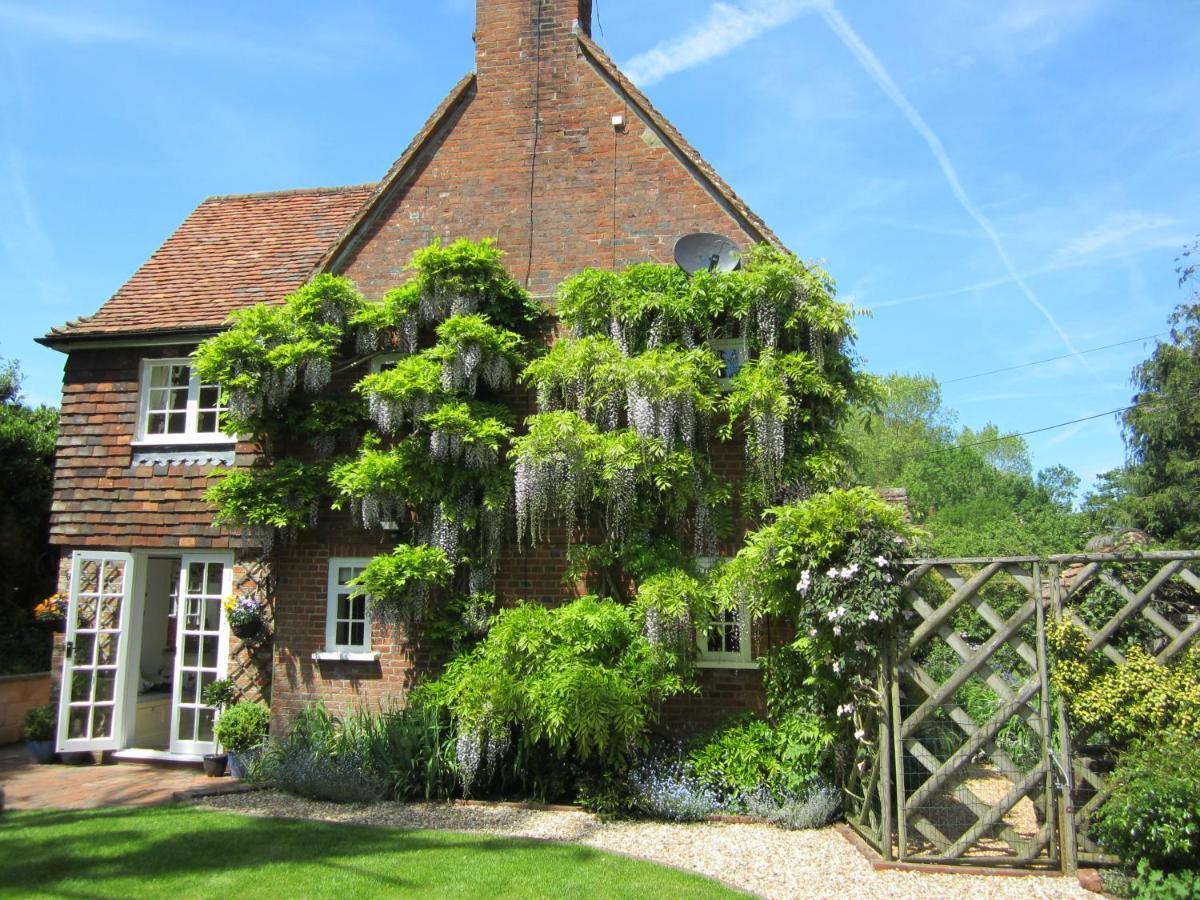 Vine Cottage Farnham  Kültér fotó