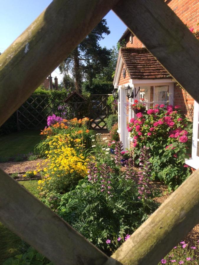Vine Cottage Farnham  Kültér fotó