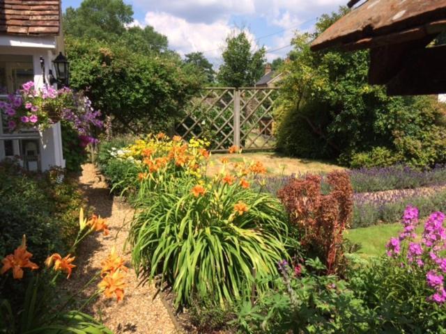 Vine Cottage Farnham  Kültér fotó